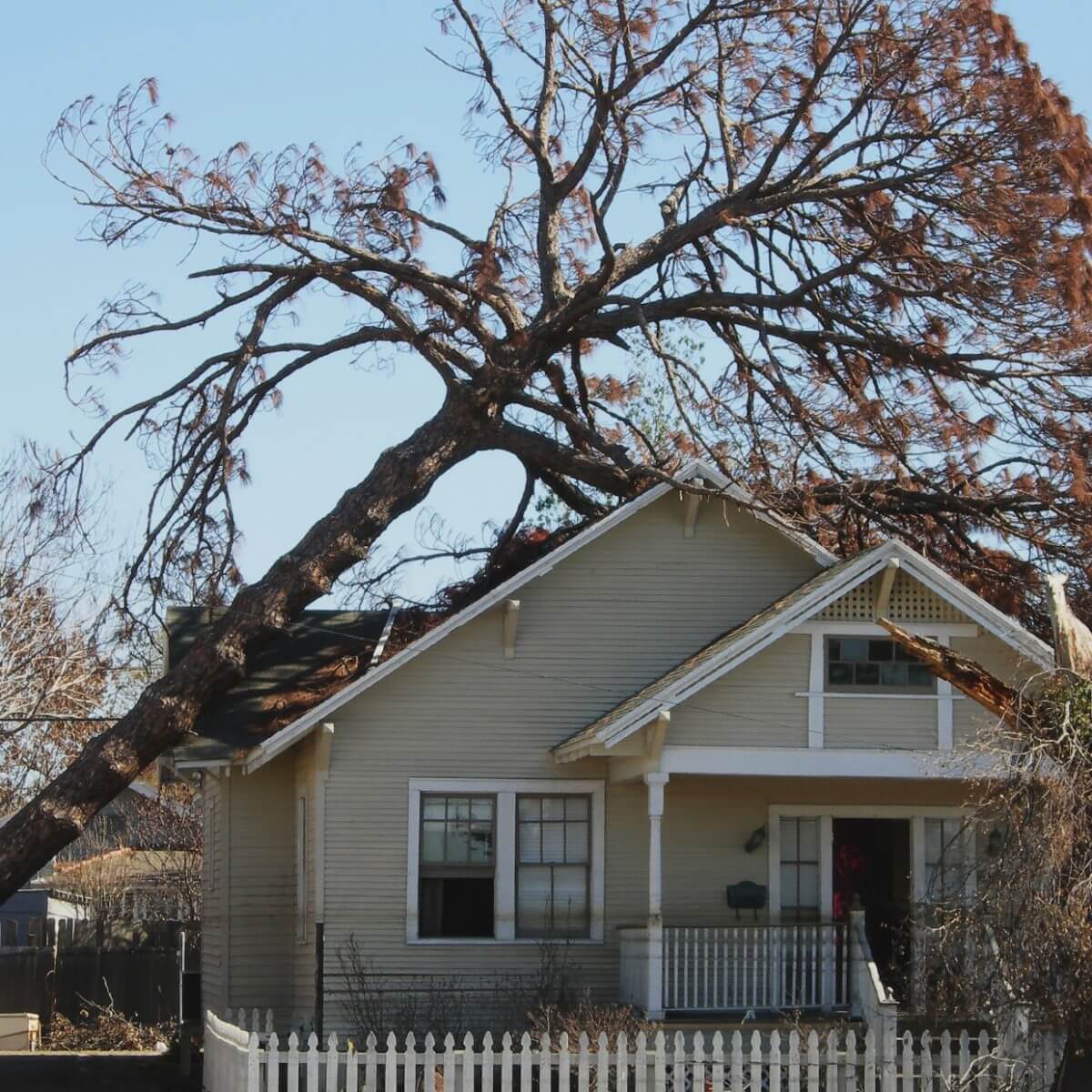 A fallen tree on a family home.
