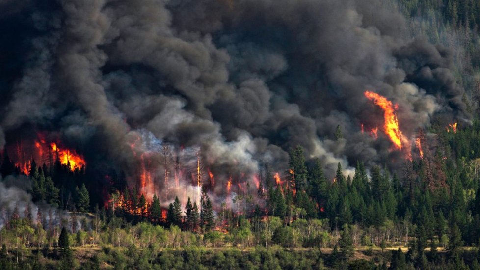 Forest firing okanagan in Canada