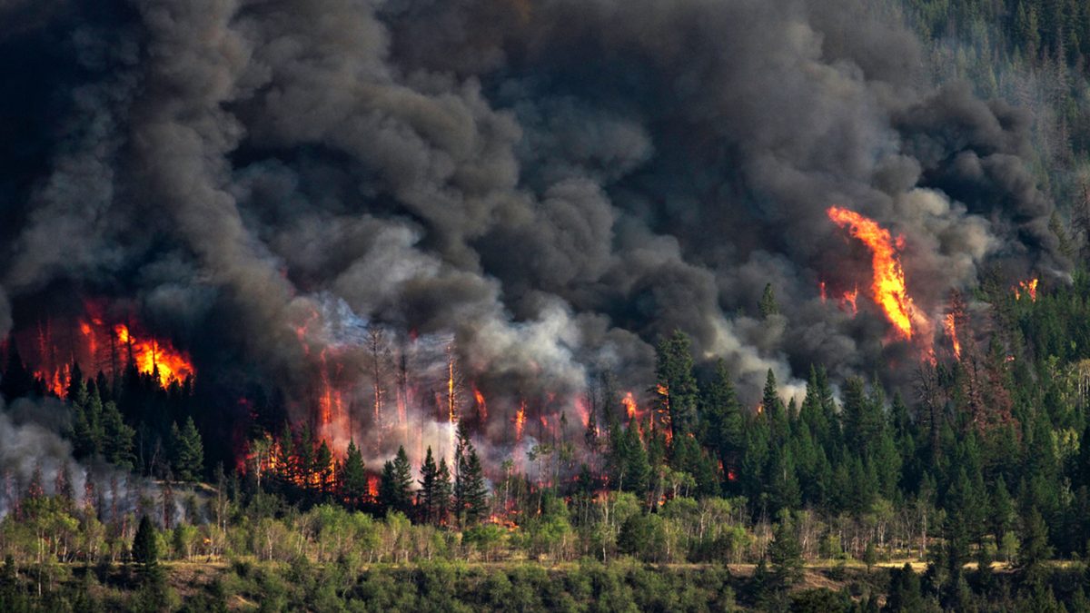 Forest fires sweeping through the Okanagan, BC.