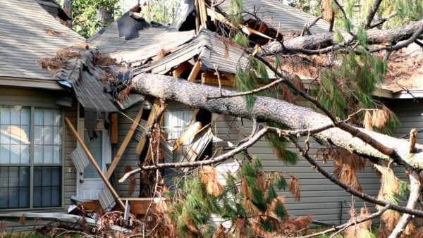 A home destroyed by a fallen tree - On Side Restoration